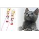 【ペット用】スーパーキャット SOLEIL キャットダングラー TR201 - 縮小画像2