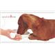 【ペット用】ペティオ　老犬介護用　持ち手付食器　小 - 縮小画像2