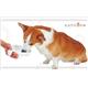 【ペット用】ペティオ 老犬介護用 持ち手付食器 中 - 縮小画像2