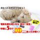 電気を使わないから安心♪安全♪レンジでチンしてぽっかぽか 動物柄カバー付き - 縮小画像4