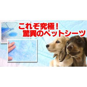 業務用　ペットシーツ　ワイドスリム　３００枚入り - 拡大画像