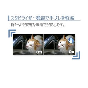 GREENHOUSE SDカード対応デジタルビデオカメラ GHV-DV24SD　画像03