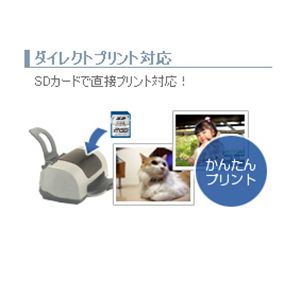 GREENHOUSE SDカード対応デジタルビデオカメラ GHV-DV24SD　画像05