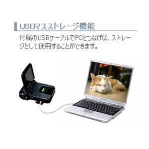 GREENHOUSE SDカード対応デジタルビデオカメラ GHV-DV24SD　画像06
