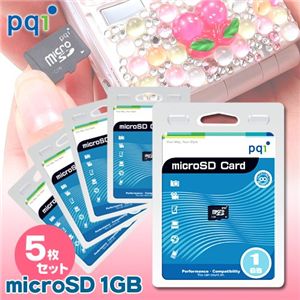 pqi microSD 1GB~5Zbg