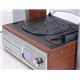 exemode CD�E���R�[�h�ESD�EUSB�EFM�^AM�}���`�R���| ER-250