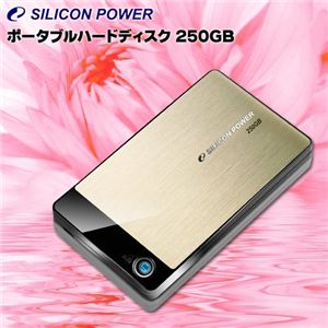 SiliconPower（シリコンパワー） ポータブルハードディスク 250GB SP250GBPHDA50S2G