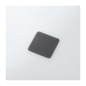 쥳 iPod nanoѤΤɻߥե AVA-N10PF