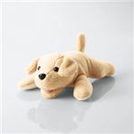 エレコム 動物クリーナー“Groomy（グルーミー）” KCT-DOG10-13