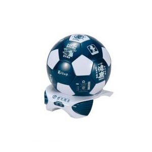 池商 サッカーボール型冷温庫4L BD-S04