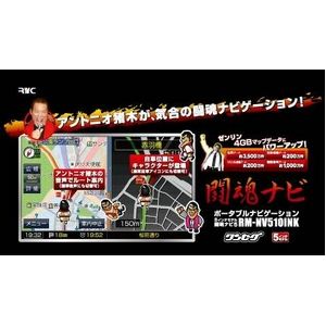 2010ǯǿ ȥ˥ڤǥ롼Ȱ! Ʈʥ 5 RM-NV510INK microSDHC 8GB դ۲2