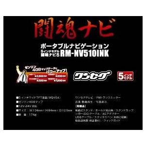 2010ǯǿ ȥ˥ڤǥ롼Ȱ! Ʈʥ 5 RM-NV510INK microSDHC 8GB դ۲3