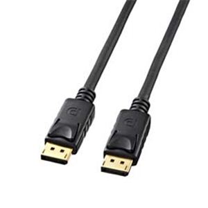 掠ץ饤 DisplayPort֥3m KC-DP3