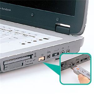 サンワサプライ USBコネクタ取付けセキュリティ SL-46-D - 拡大画像