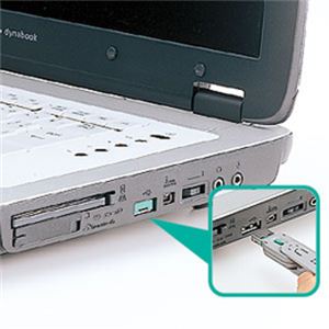 サンワサプライ USBコネクタ取付けセキュリティ SL-46-G - 拡大画像