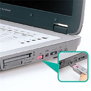 サンワサプライ USBコネクタ取付けセキュリティ SL-46-R - 拡大画像