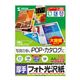 サンワサプライ カラーレーザー用フォト光沢紙・厚手 LBP-KAGNA4-250