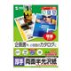 サンワサプライ カラーレーザー用半光沢紙・厚手 LBP-KCAGNA4-100