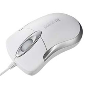 掠ץ饤 ؼޥscenefitʥۥ磻ȡUSB MA-SFHW