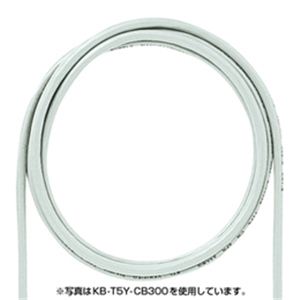 サンワサプライ エンハンスドカテゴリ5より線LANケーブルのみ（300m、グリーン） KB-T5Y-CB300G