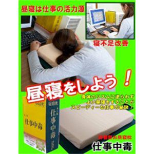 辞書型お昼寝枕☆ 仕事中毒