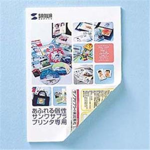 サンワサプライ インクジェット用両面光沢紙（マット調光沢・B4） JP-KC20RVB4