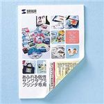 サンワサプライ インクジェット用両面光沢紙（マット調光沢・B4） JP-KC20RVB4