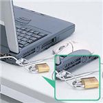 サンワサプライ ノートパソコン&マウスセキュリティ SL-21K