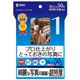 サンワサプライ インクジェット写真印画紙・超特厚 JP-EP1N2L