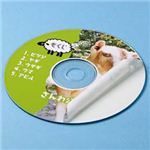 サンワサプライ インクジェットDVD／CDラベル（つやなしマット） LB-CDR001N-100