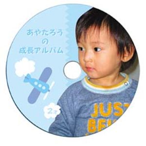 サンワサプライ インクジェットフォト光沢DVD／CDラベル（内径17mm） LB-CDR013N-50