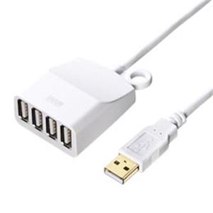 サンワサプライ 延長用4ポートUSB2.0ハブ（ホワイトケーブル長0.6m） USB-HEX406W