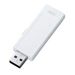 サンワサプライ USB2.0メモリ（2G、手書き可能） UFD-RNS2GW