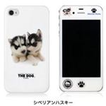 CUT＆PASTE Cut＆Paste THE DOG iPhone 4S／4 case シベリアンハスキー PIP4PC000A000