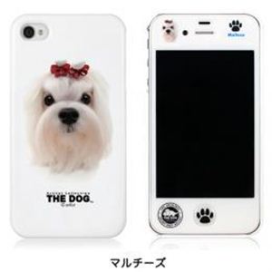 CUT＆PASTE Cut＆Paste THE DOG iPhone 4S／4 case マルチーズ PIP4PC000P000