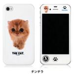 CUT＆PASTE Cut＆Paste THE CAT iPhone 4S／4 case チンチラ PIP4PC000S000
