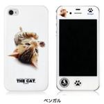 CUT＆PASTE Cut＆Paste THE CAT iPhone 4S／4 case ベンガル PIP4PC000V000