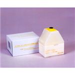 RICOH イプシオ タイプ8000用トナー イエロー 輸入品 9865 RS-TNLP8000YJY