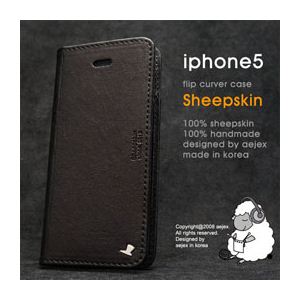 AEJEX iPhone5用ケース FLIPタイプ ブラック AS-AJIP5F-BK