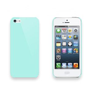 LEZROCK iPhone5用 BCASE（ミント） LEZ-IP5B-MT