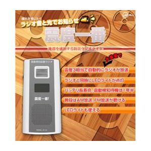 ベセトジャパン 振動検知ラジオ LR-10 商品画像