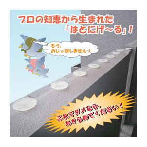後藤 鳩駆除会社が使っている「はとにげ〜る」 805982