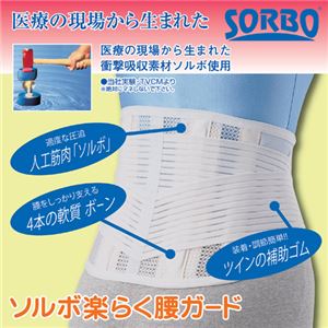 三進興産 ソルボ 楽らく腰ガード ブラック Lサイズ 8758793