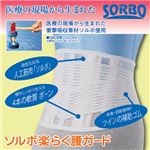 三進興産 ソルボ 楽らく腰ガード ブラック 2Lサイズ 8758794