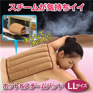 富士商 ホット＆スチームパッド（LLサイズ） 809372