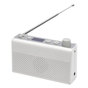 SKNET テレビが聴ける 地デラジ SK-R1FA