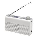 SKNET テレビが聴ける 地デラジ SK-R1FA