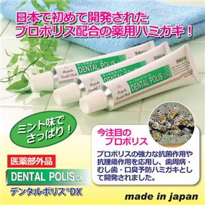 日本ゼトック 薬用歯磨き　デンタルポリスDX 803269