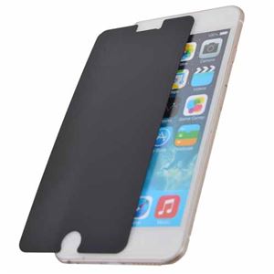 サンコー iPhone 6 Plus 用4方向プライバシーフィルタ IPH6BKE7