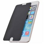 サンコー iPhone 6 Plus 用4方向プライバシーフィルタ IPH6BKE7